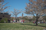 ds20160401-0063 CUCB().jpg