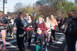 ds20160403-0322 CUCB().jpg