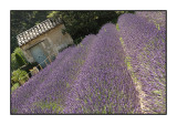 Saint-Paul de Mausole, St-Remy-de-Provence