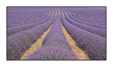 Valensole