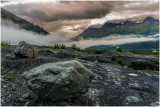 Near Exit Glacier