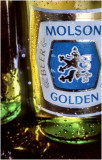 Molson Golden