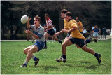Rugby on National Mall