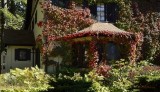 Autumn colors  on Main street Bar Harbor Maine USA 