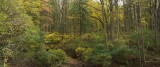 THE SOFT SIDE OF AUTUMN 