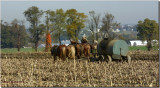 Lancaster Pa  USA . Amish farm country
