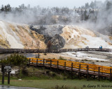 Mammoth Hot Springs IMG_4565.jpg