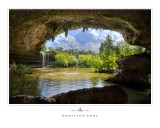 Art Poster_Hamilton Pool_Dark Shelter_0513 copy.jpg