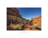 Art Poster_Solstice Snake_Behind the Rocks_16x20 copy.jpg