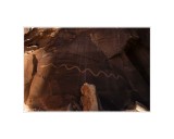 Art Poster_Solstice Snake_Coming Out Of Shadow_16x20 copy.jpg