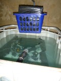 Incubator with fertilized eggs.