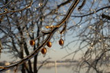 DSC09106.JPG