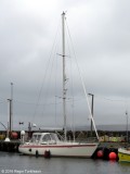 Birita TN 305