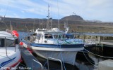 Ocean TG 42