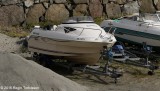 Selinda TN 1271