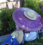 Implements of summertime outdoor fun