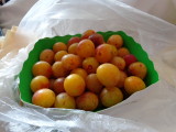my Mirabelle plums purchased in the farmers market in Paris, was still eating them