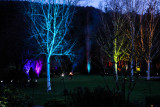 Night Lights @ RHS Rosemoor