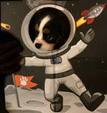 I am the Urban Spaceman
