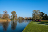 A cold walk at The Vyne