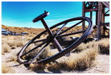 Bodie