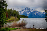 6-5-15_713_15s.jpg
