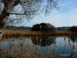 Mondego Valley