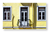 Lisbon windows