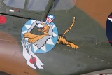 43-5795 - Curtiss P-40 Warhawk  - Jacky C II -  ATLANTA WARBIRD WEEKEND 