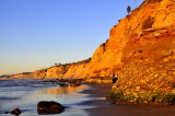 LaJolla Shores