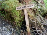 Wild Rose Creek