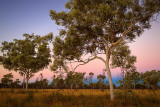 Outback Sunset D80_1367s.jpg