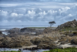 Carmel May 2016_D803929s.jpg