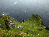 Skellig Michael CF003595s.jpg