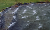 Storm Making Waves on Pond