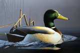 Wheeler National Wildlife Refuge - 03/25/2014 + Jr. Duck Stamp Judging