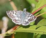 Wheeler National Wildlife Refuge - 09/29/2014 EOFY