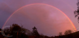 Rainbow over the garden