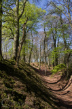 Woodbury Castle in East Devon