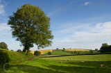 Hele Farm near Bradninch