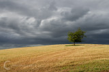 Stormy clouds near Broadclyst