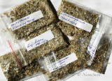 Seeds germinating in vermiculite packages MR14 #5994