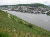 Vineyards along the Rhine 