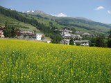 Scuol