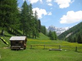 Swiss National Park