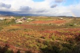 Elciego (Rioja Alavesa)