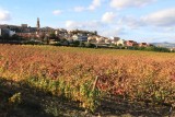 Briones