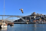 Porto.Ponte de Dom Luis I