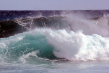 hawaii_random