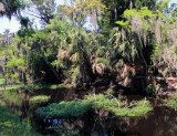 greenway_today_